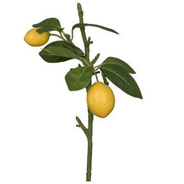 Branche artificielle de citron ADELAIDA avec fruits, jaune, 35 cm Branche artificielle de citron ADELAIDA avec fruits, jaune, 35 cm