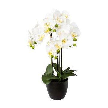 Orchidée Phalaenopsis artificielle UKERNA dans un cache-pot en résine, blanc, 55cm