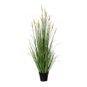 Fausse herbe Pennisetum VELZA avec des panicules, jaune, 120cm