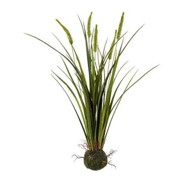 Herbe artificielle Roseau de Chine MILNO, motte de terre, panicules, racines, vert, 65cm Herbe artificielle Roseau de Chine MILNO, motte de terre, panicules, racines, vert, 65cm