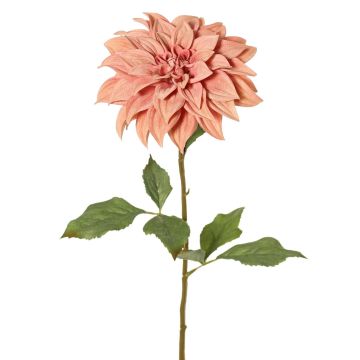 Dahlia décoratif PHILLIPPA, collection écologique, vieux rose, 65cm, Ø15cm