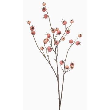 Branche décorative « Rose de pomme » FRAVON avec cynorrhodons, rose pêche, 100 cm Branche décorative « Rose de pomme » FRAVON avec cynorrhodons, rose pêche, 100 cm