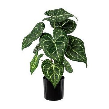 Plante artificielle Anthurium KURMA, vert-blanc, 35cm