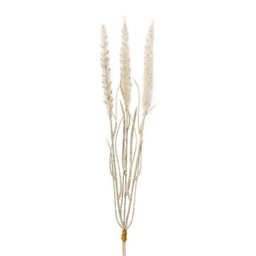 Fausse herbe Pennisetum ALOGUI avec des panicules, piquet, beige, 50cm