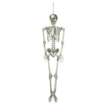 Décoration Halloween Squelette LAMBERT, suspendu, 150cm