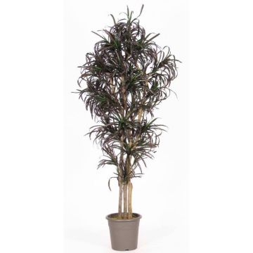 Faux Dracaena Marginata KIMANORA, troncs naturels, vert-rouge, 125cm - Made in Italy