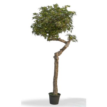 Érable du Japon artificiel KIMKA, tronc naturel, vert-rouge, 275cm - Made in Italy