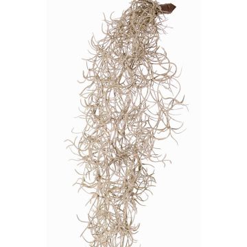 Tillandsia usneoides artificielle LIVADI sur tige, grise, 115cm Tillandsia usneoides artificielle LIVADI sur tige, grise, 115cm