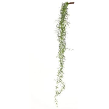 Tillandsia usneoides artificiel LIVADI sur tige, vert, 115cm