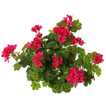 Fleur artificielle de géranium MIA sur tige, rose, 40 cm, Ø 5-8 cm
