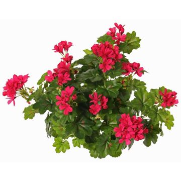 Fleur artificielle de géranium MIA sur tige, fuchsia, 40cm, Ø5-8cm Fleur artificielle de géranium MIA sur tige, fuchsia, 40cm, Ø5-8cm