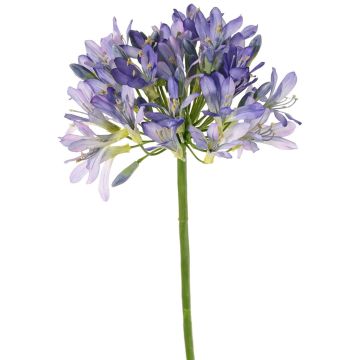 Fleur d'agapanthe artificielle KAFENA, bleu-violet, 90 cm, Ø 20 cm Fleur d'agapanthe artificielle KAFENA, bleu-violet, 90 cm, Ø 20 cm