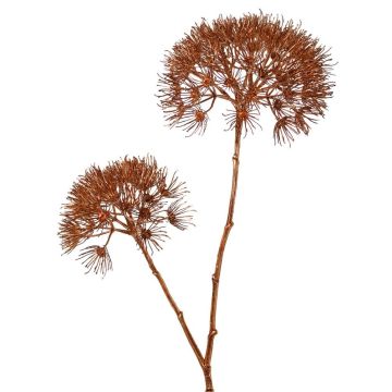 Branche de berce artificielle OTRIS, cuivre, 95 cm, Ø 15-20 cm Branche de berce artificielle OTRIS, cuivre, 95 cm, Ø 15-20 cm