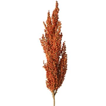 Branche décorative de sorgho WADDY avec épis, orange, 80 cm Branche décorative de sorgho WADDY avec épis, orange, 80 cm