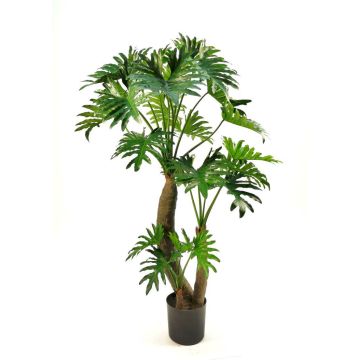 Plante artificielle Philodendron Selloum DONIS, troncs artificiels, 180 cm