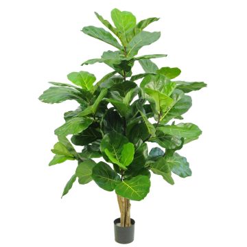 Ficus Lyrata artificiel APOKO, troncs naturels, vert, 170 cm Ficus Lyrata artificiel APOKO, troncs naturels, vert, 170 cm