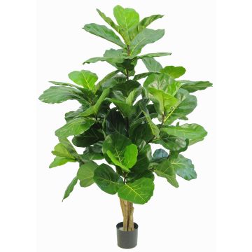 Ficus Lyrata artificiel APOKO, troncs naturels, vert, 170cm Ficus Lyrata artificiel APOKO, troncs naturels, vert, 170cm