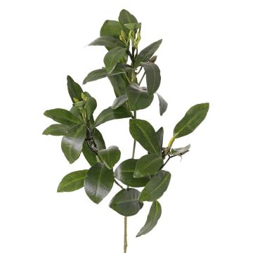 Branche de mangrove artificielle USTERA, bourgeons, difficilement inflammable, verte, 60 cm