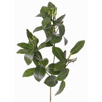 Branche de mangrove artificielle USTERA, bourgeons, difficilement inflammable, verte, 60cm
