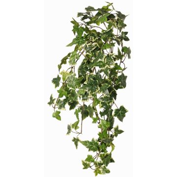 Lierre artificiel suspendu ARJANA, tige d'insertion, difficilement inflammable, vert-blanc, 75cm Lierre artificiel suspendu ARJANA, tige d'insertion, difficilement inflammable, vert-blanc, 75cm