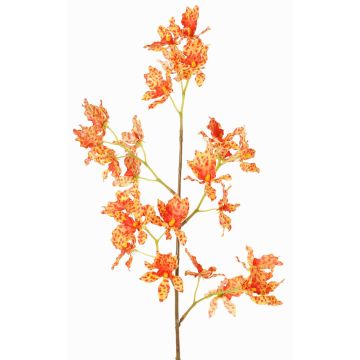 Branche d'orchidée Odontoglossum artificielle BELANIA, orange-jaune, 75 cm