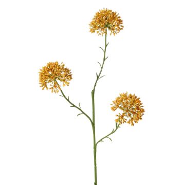 Branche décorative d'allium ALIKIO, orange, 65 cm, Ø 7 cm Branche décorative d'allium ALIKIO, orange, 65 cm, Ø 7 cm