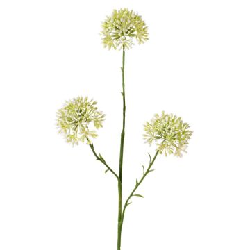 Branche décorative d'Allium ALIKIO, blanche, 65 cm, Ø 7 cm Branche décorative d'Allium ALIKIO, blanche, 65 cm, Ø 7 cm
