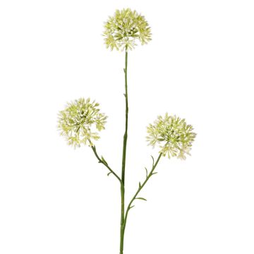 Branche décorative d'Allium ALIKIO, blanche, 65 cm, Ø 7 cm Branche décorative d'Allium ALIKIO, blanche, 65 cm, Ø 7 cm