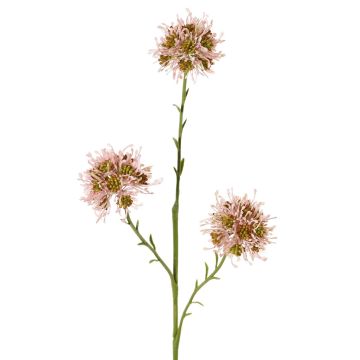 Branche d'Allium artificielle ZEBU, rose, 65 cm, Ø 7 cm Branche d'Allium artificielle ZEBU, rose, 65 cm, Ø 7 cm