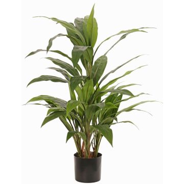 Cordyline artificielle ORMOS, verte, 80cm Cordyline artificielle ORMOS, verte, 80cm