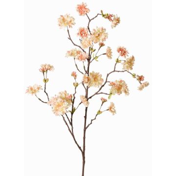 Branche artificielle Pêcher ornemental KENZUN, fleurs, pêche-rose, 110cm Branche artificielle Pêcher ornemental KENZUN, fleurs, pêche-rose, 110cm