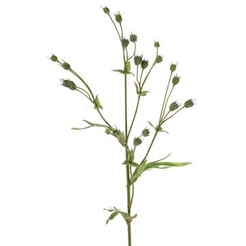 Branche de lin artificielle KALENO avec bourgeons, verte, 70 cm
