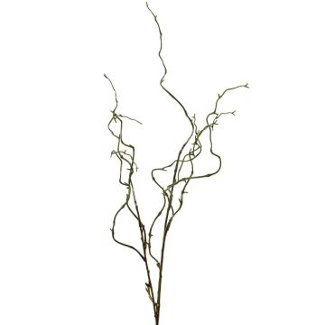 Branche de saule pleureur artificielle EMENDA, vert-marron, 75 cm Branche de saule pleureur artificielle EMENDA, vert-marron, 75 cm