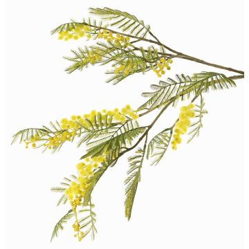 Branche décorative de mimosa BRANAU avec fleurs, jaune, 80 cm, Ø 0,5 cm Branche décorative de mimosa BRANAU avec fleurs, jaune, 80 cm, Ø 0,5 cm