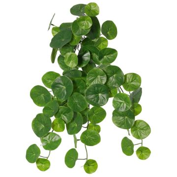 Plante artificielle Stephania erecta ANOGIA sur tige, verte, 50 cm