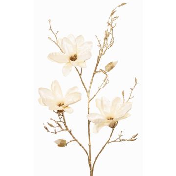 Branche de magnolia en velours LEAFY, crème-or, 115cm Branche de magnolia en velours LEAFY, crème-or, 115cm