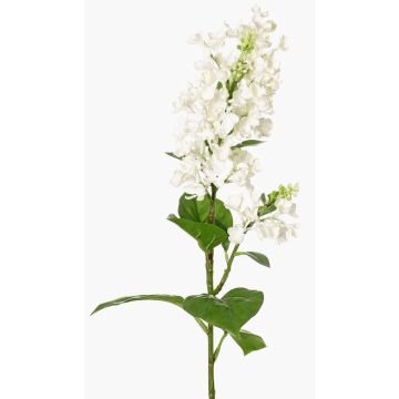 Branche décorative Lilas ADMIR, blanc, 80cm Branche décorative Lilas ADMIR, blanc, 80cm
