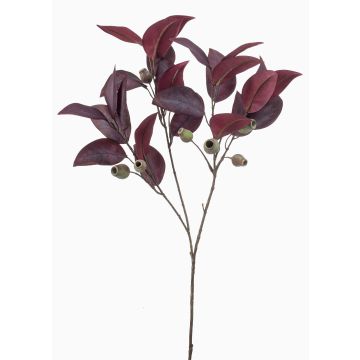 Branche d'eucalyptus décorative VIZIMIR avec des fruits, rouge bourgogne, 80cm