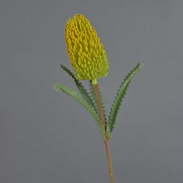 Banksia robur artificiel EREDIN, jaune, 70cm