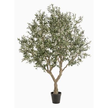 Olivier artificiel ZALIKI, tronc artificiel, fruits, vert, 250cm