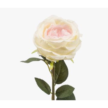 Rose en tissu THYRI, crème-rose, 65cm