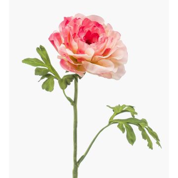Renoncule artificielle KRISTY, rose-fuchsia, 60cm Renoncule artificielle KRISTY, rose-fuchsia, 60cm