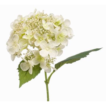 Fleur artificielle Hortensia CALESA, blanc, 50cm Fleur artificielle Hortensia CALESA, blanc, 50cm