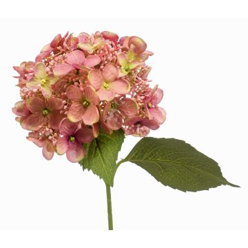 Fleur artificielle Hortensia CALESA, vieux rose, 50cm Fleur artificielle Hortensia CALESA, vieux rose, 50cm
