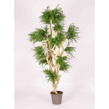 Arbre artificiel Abélia DIMYTRO avec des troncs naturels, crossdoor, vert, 185cm - Made in Italy