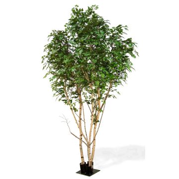 Bouleau blanc artificiel ILSEDORE, troncs naturels, vert, 400cm - Made in Italy