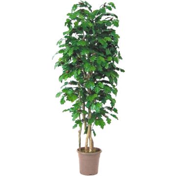 Chêne artificiel MIREEN, troncs naturels, avec des fruits, vert, crossdoor, 275cm - Made in Italy Chêne artificiel MIREEN, troncs naturels, avec des fruits, vert, crossdoor, 275cm - Made in Italy