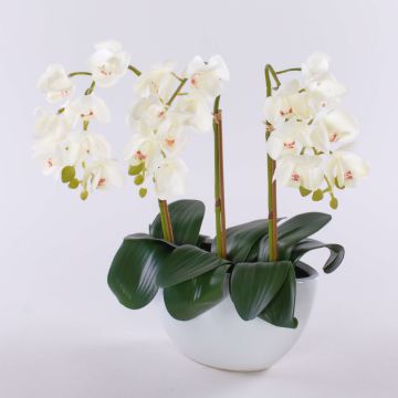 Orchidée artificielle Phalaenopsis JASMIN, coupe en céramique, blanc, 40cm Orchidée artificielle Phalaenopsis JASMIN, coupe en céramique, blanc, 40cm