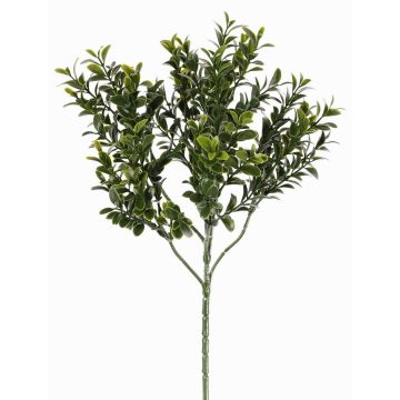 Branche de buis artificielle TOM, crossdoor, 45cm