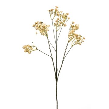 artificiel Gypsophile LITAGO, Trockenoptik, beige, 70cm, Ø1,5cm artificiel Gypsophile LITAGO, Trockenoptik, beige, 70cm, Ø1,5cm